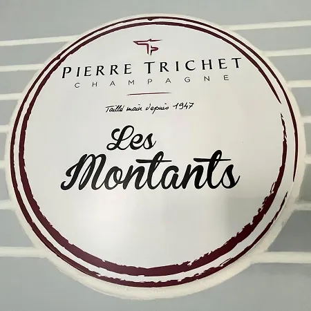 Le De La Champagne 5 Chbrs Au Coeur Des Vignes Trois-Puits